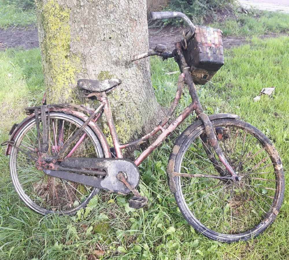 Staré kolo, které původní majitel kdysi hodil do vody