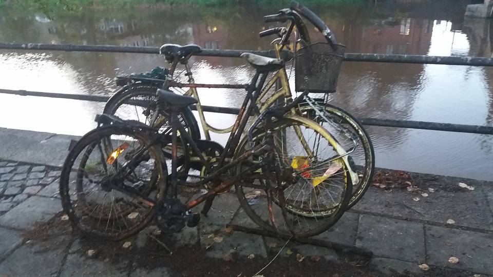 Parádní cyklistické úlovky