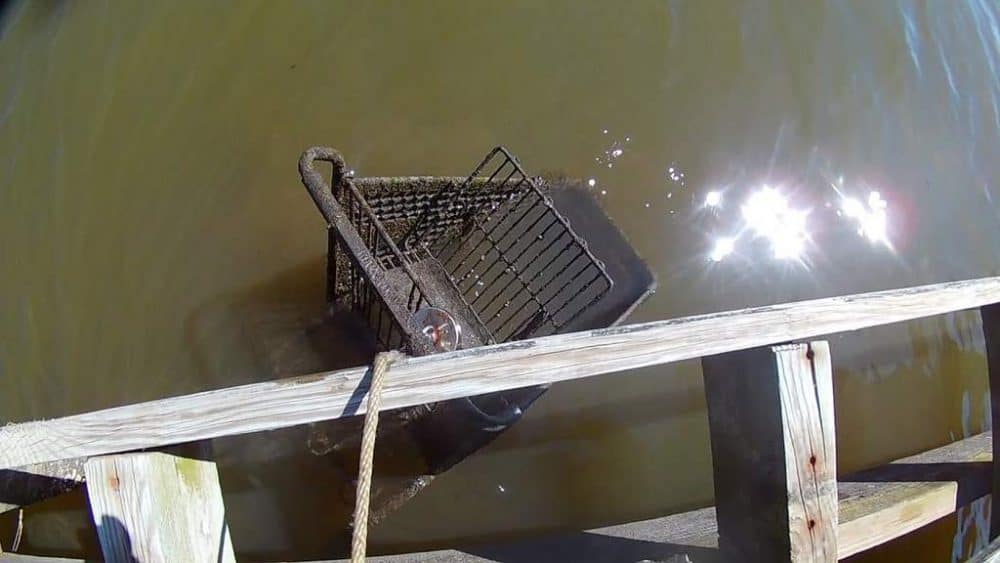 magnet fishing shopping cart
