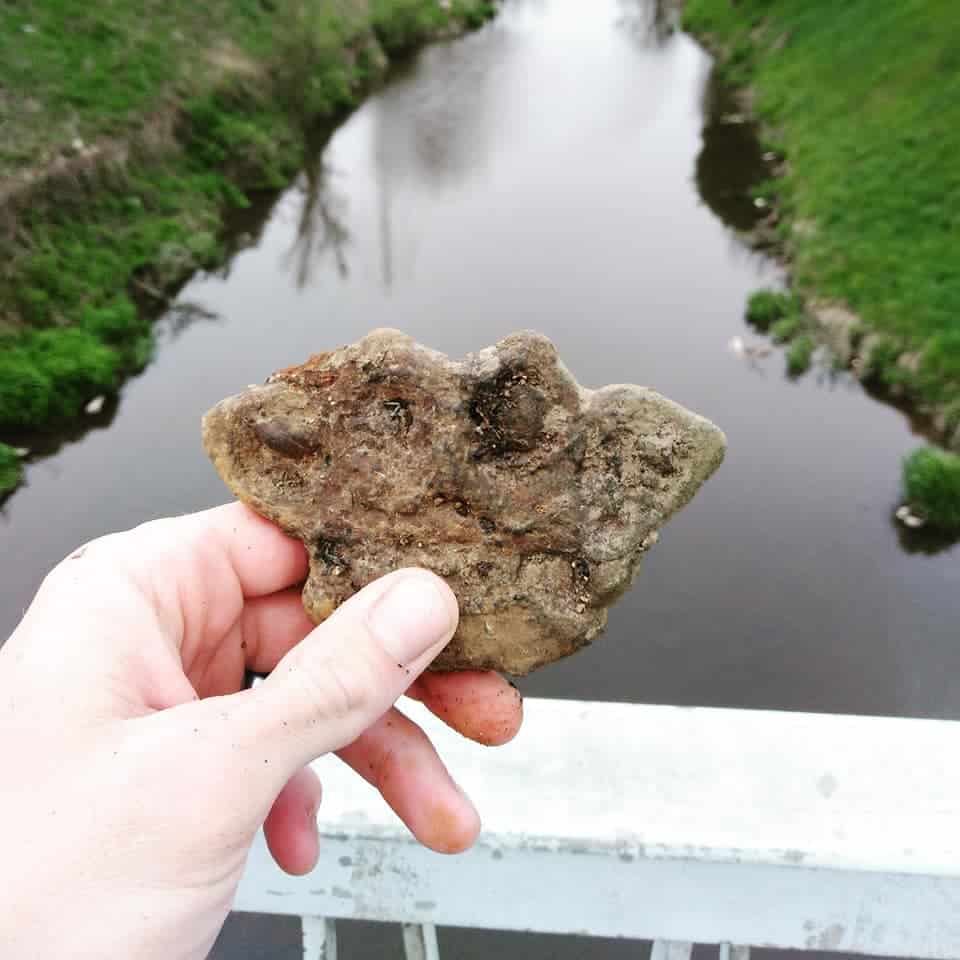 Magnet fisher z Brna našiel boxer