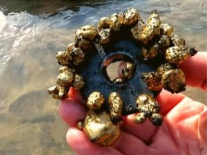 Dá se najít zlato s magnetem? Můžete vybrat mince z fontány?