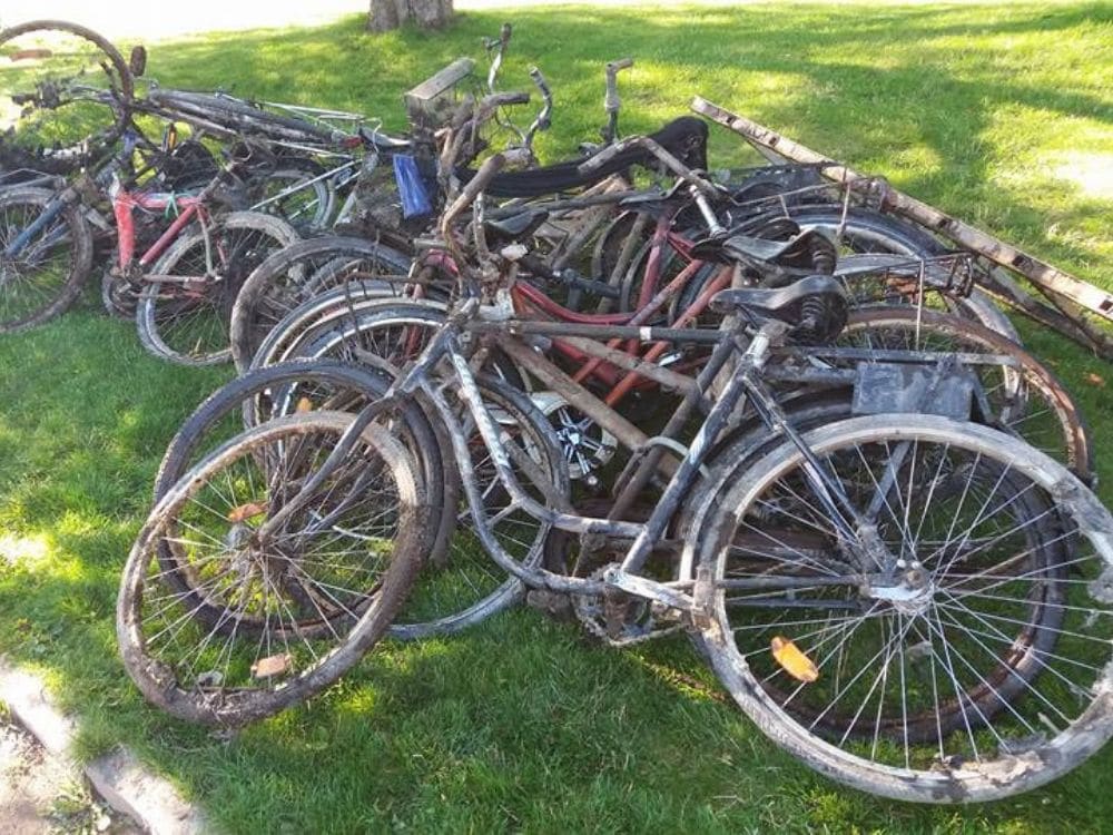 89 kol, která objevili hledači pokladů s magnetem